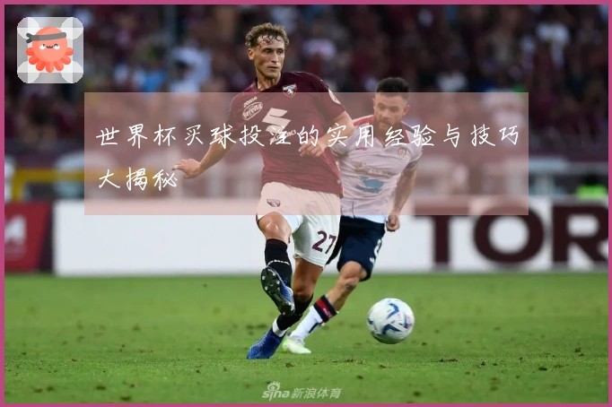 世界杯买球投注的实用经验与技巧大揭秘