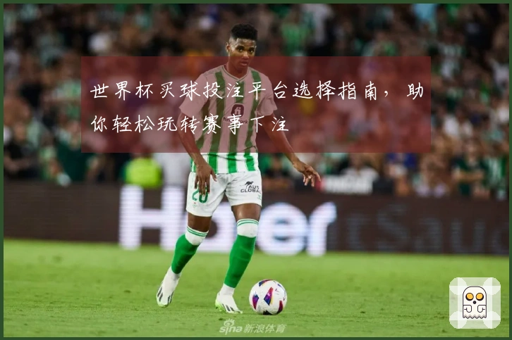 世界杯买球投注平台选择指南，助你轻松玩转赛事下注