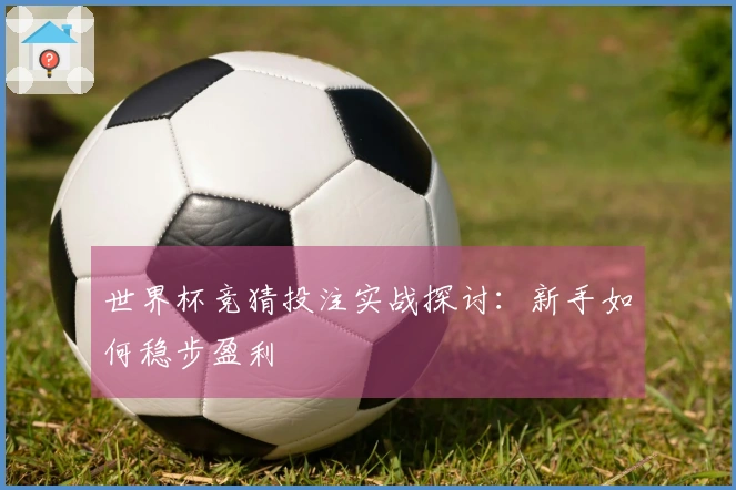 世界杯竞猜投注实战探讨：新手如何稳步盈利