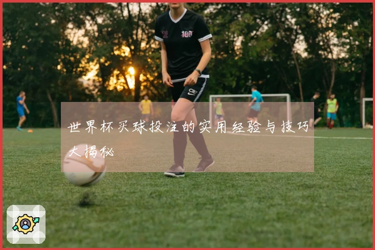 世界杯买球投注的实用经验与技巧大揭秘