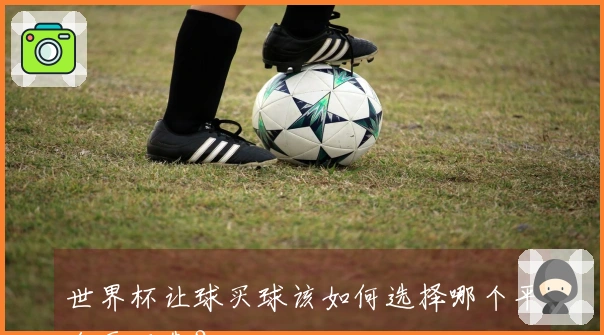 世界杯让球买球该如何选择哪个平台更可靠？