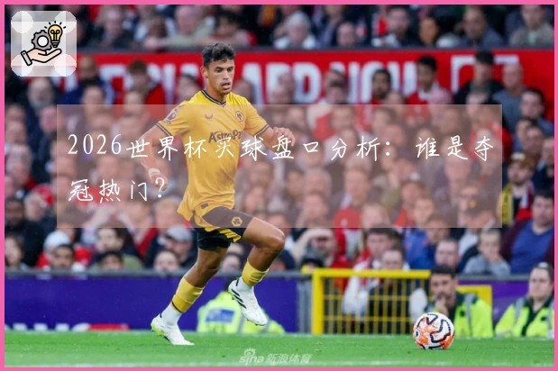 2026世界杯买球盘口分析：谁是夺冠热门？