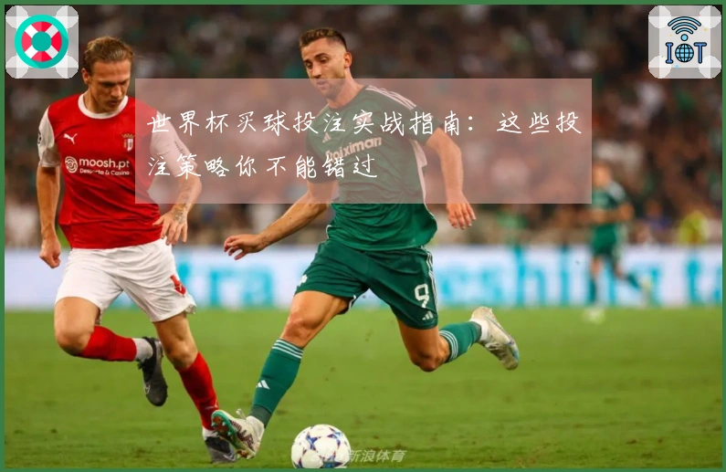 世界杯买球投注实战指南：这些投注策略你不能错过
