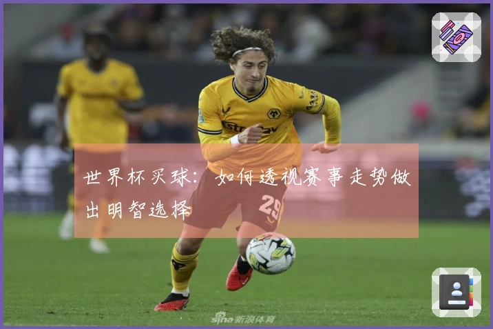 世界杯买球：如何透视赛事走势做出明智选择